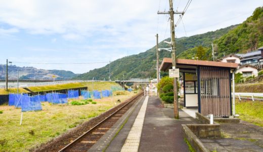 【博多とよ唐亭 熊本田井島店】げんこつからあげでおなじみの福岡で大人気の唐揚げ屋さん！