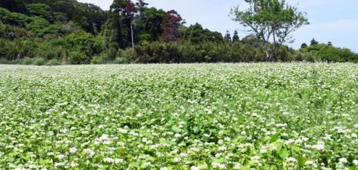 【龍峯(りゅうほう)やまびこ公園】ローラーすべり台など魅力的な遊具のある2016年に開園した新しい公園