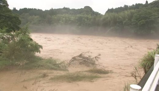 熊本の「ドン・キホーテ」なぜ至近距離に2店舗？西銀座通り店と下通り店「×××買うなら」どっち？