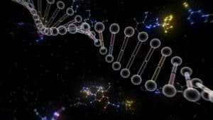 【五家荘観光】熊本・八代で大人気の紅葉観光スポット！絶景を見に行こう！