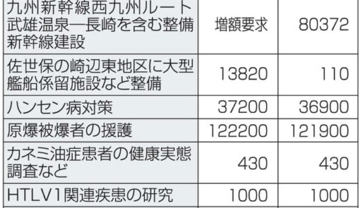 八代の特産品”晩白柚”でつくる晩白柚サイダー【八代のお土産】