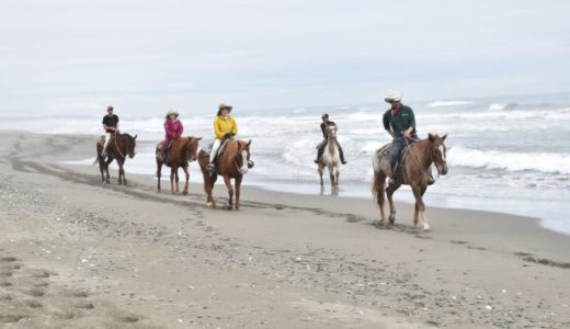 【お菓子のふくさや】八代市でシュークリームが1個40円で買えるお店
