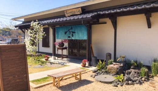 【エコパーク水俣バラ園】熊本・水俣のローズフェスタ！色とりどりのバラが咲き誇る絶景