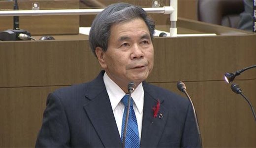 熊本県八代特産の晩白柚を使用した「晩白柚プリン」【八代のお土産】