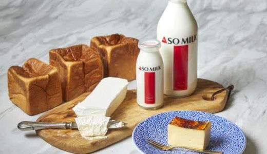 アベイル八代店がオープン予定！カジュアルと最新トレンドをトータルコーディネートできるお店