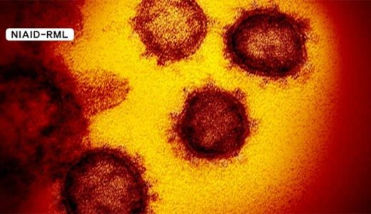 おかあさんといっしょ宅配便「ガラピコぷ～小劇場」が2022年1月に八代市鏡文化センターで開催