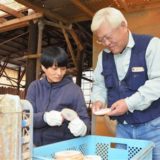 【五家荘平家の里】平家の歴史も学べるテーマ施設。紅葉の時期が特におすすめ！