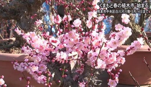 【ダディーズカレー】熊本市・九品寺で本格カレーを堪能！オシャレトロな雰囲気も最高