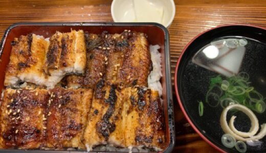 【2021年8月第2週】人吉の上村うなぎ屋が再開　新型コロナ感染者数が過去最大、大雨も