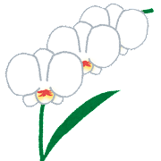【3月第5週〜4月第1週】通潤橋が６年ぶりに規制解除　熊本初「ツタヤ図書館」宇城市にオープン