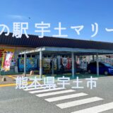 訪問レポート：道の駅 宇土マリーナ（熊本県宇土市下網田町）〜 海が近くヨットが停泊しているちょっとしたリゾート感を味わえる道の駅【旅情報・熊本】