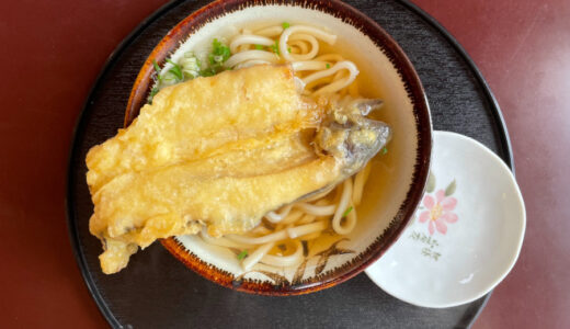 八代の秘境、五家荘でおすすめの食事って？インパクト大の「やまめ天うどん」を紹介