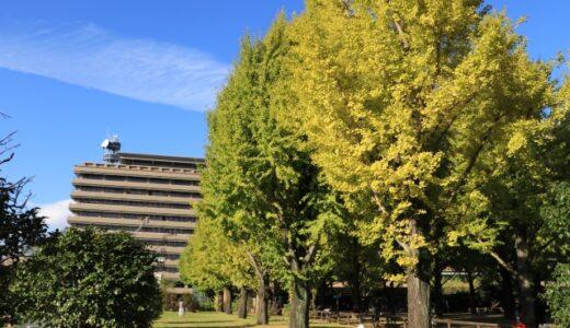 熊本県内の主なニュースまとめ ～ 2023年12月