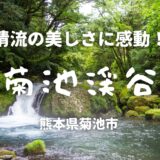 【観光レポ】清流の美しさに感動！熊本・菊池渓谷の魅力と散策コースを詳しく紹介！［地域情報・熊本］
