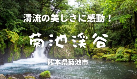 【観光レポ】清流の美しさに感動！熊本・菊池渓谷の魅力と散策コースを詳しく紹介！［地域情報・熊本］