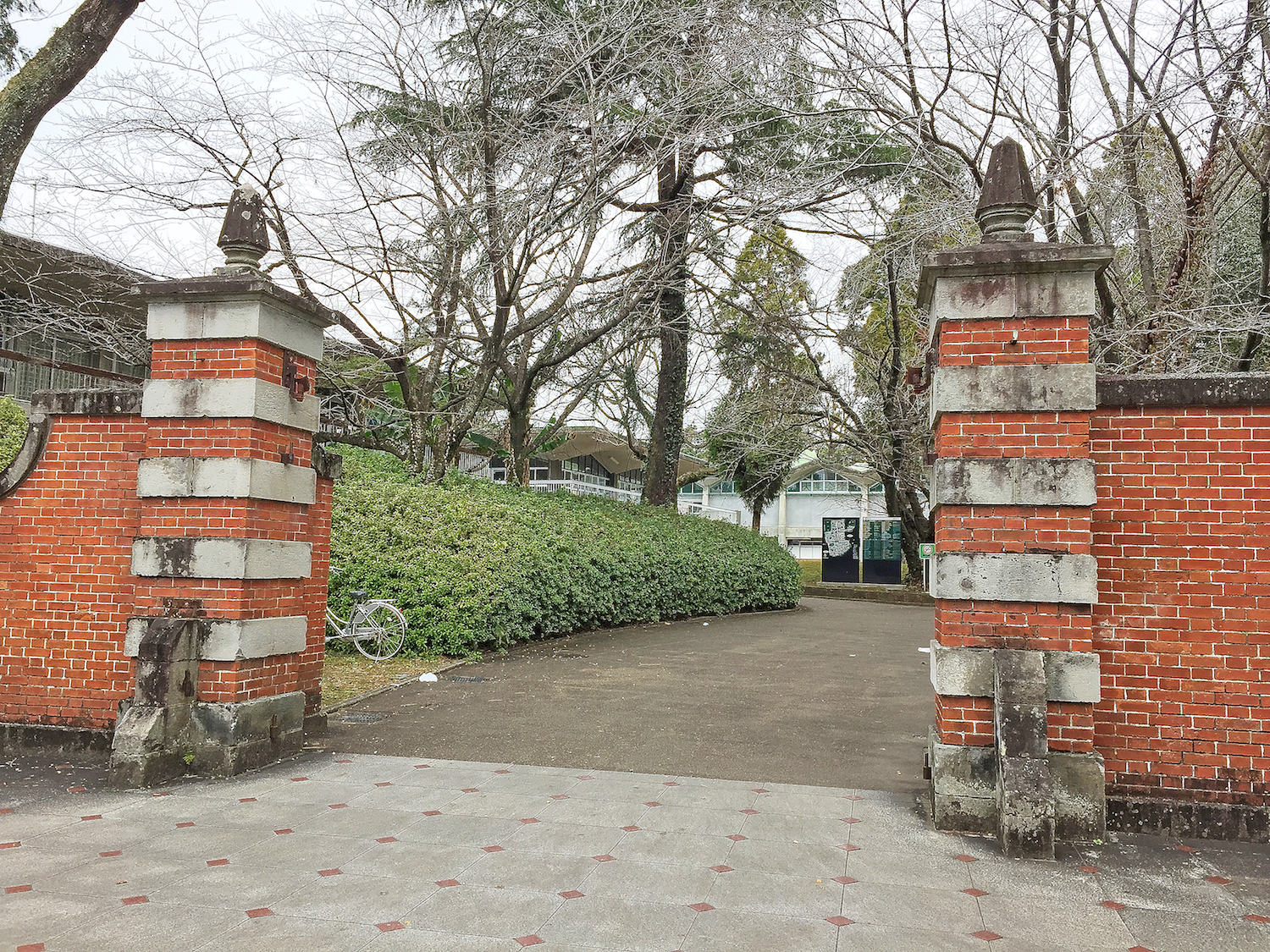 熊本大学