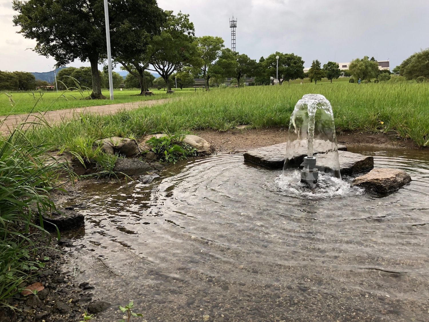 水前寺江津湖公園