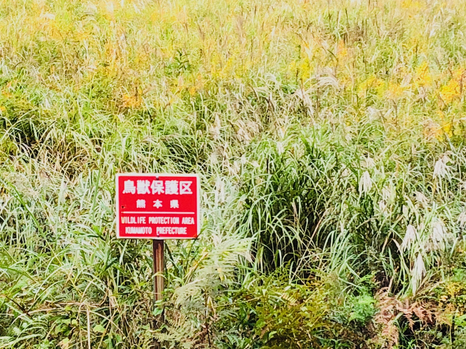マゼノ渓谷