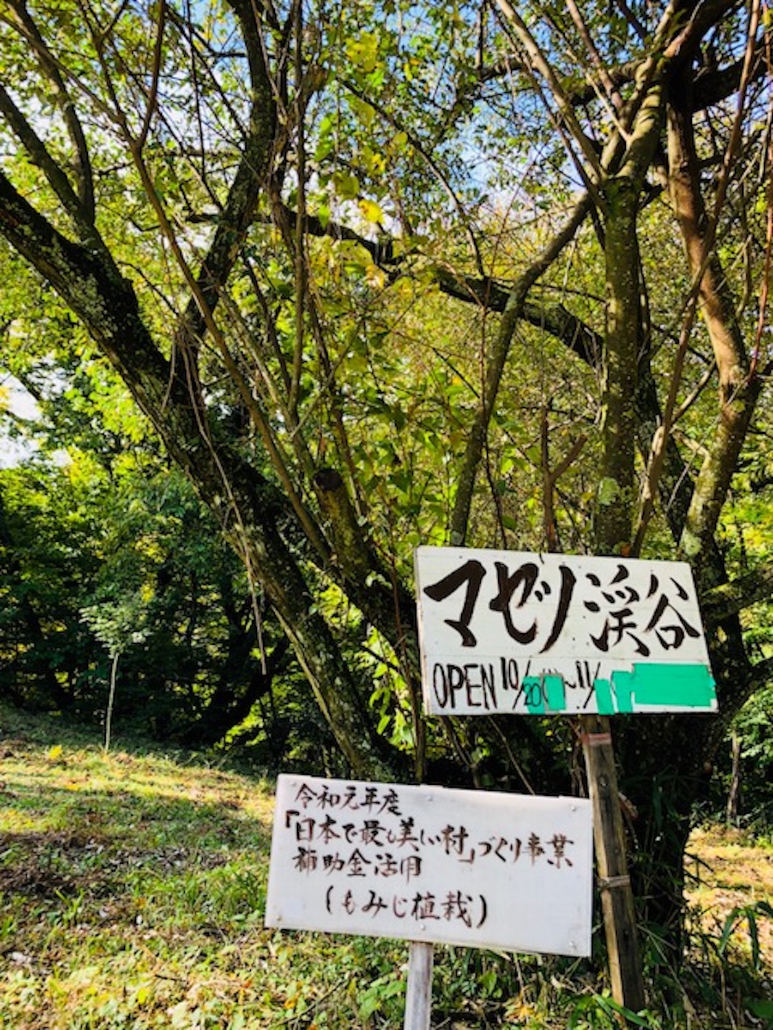 マゼノ渓谷