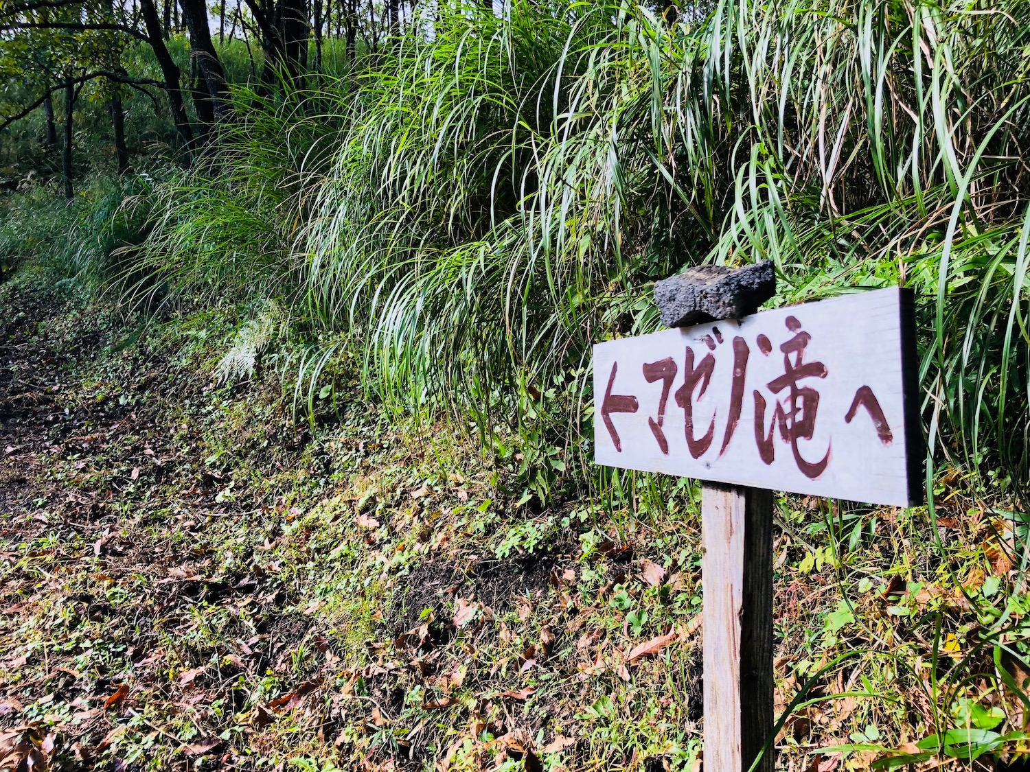 マゼノ渓谷