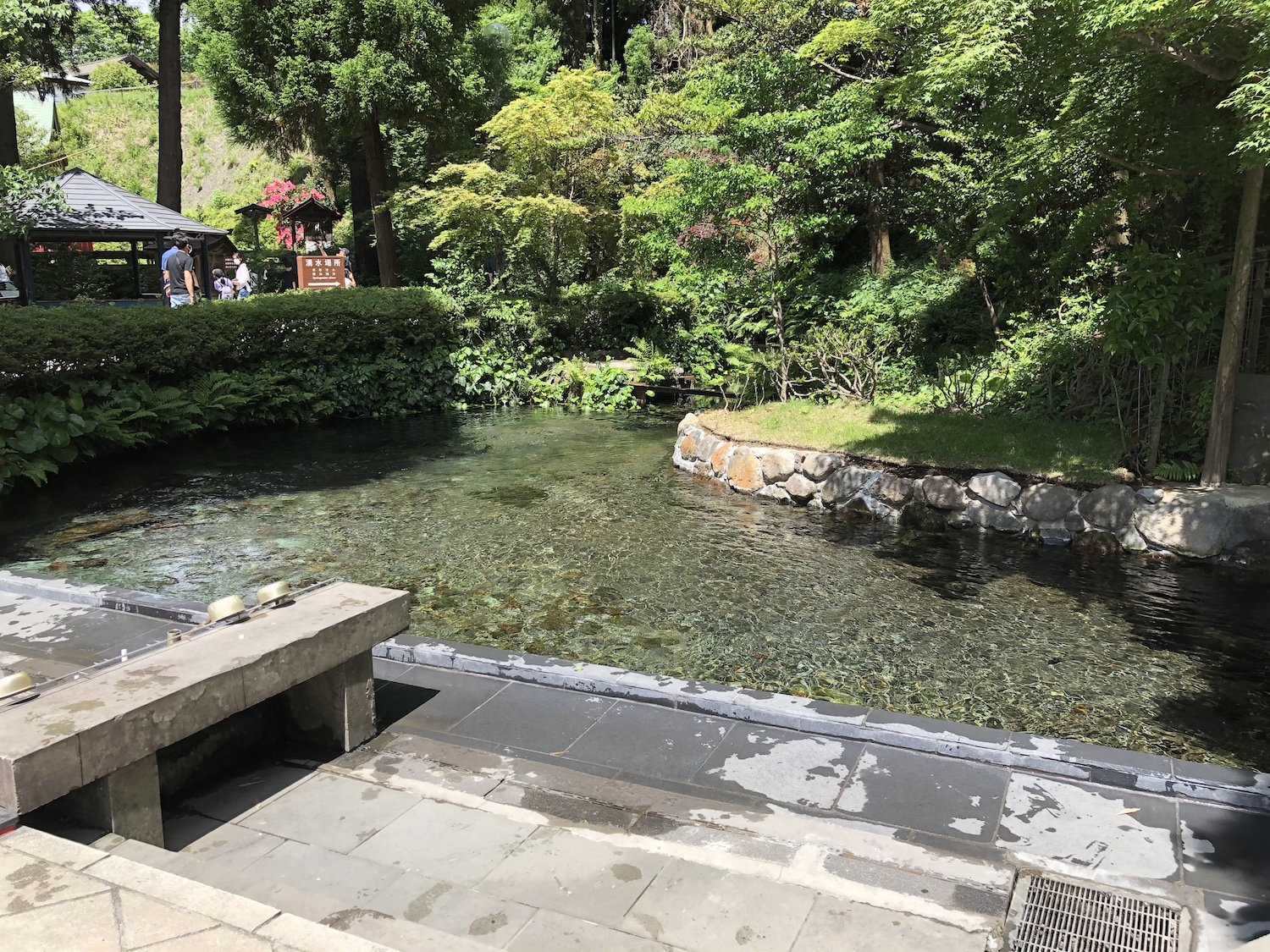 白川水源