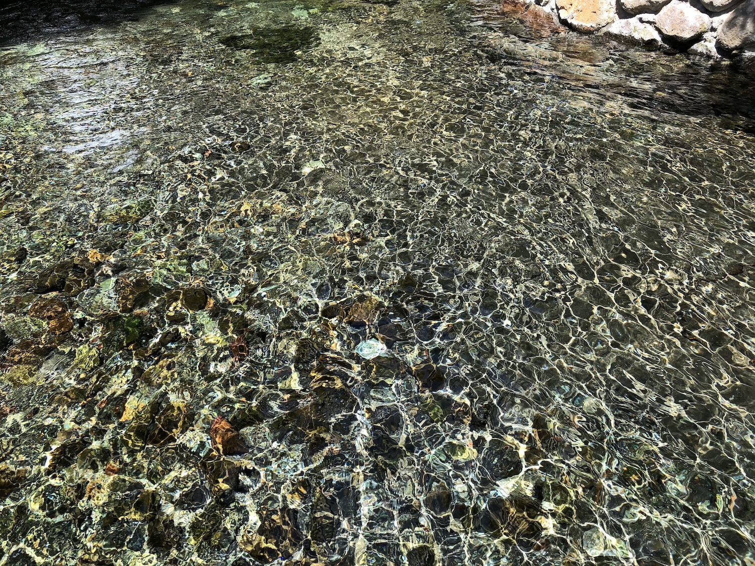白川水源