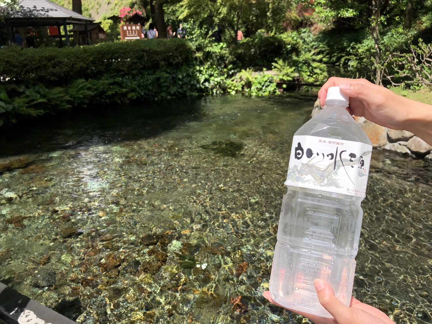 白川水源