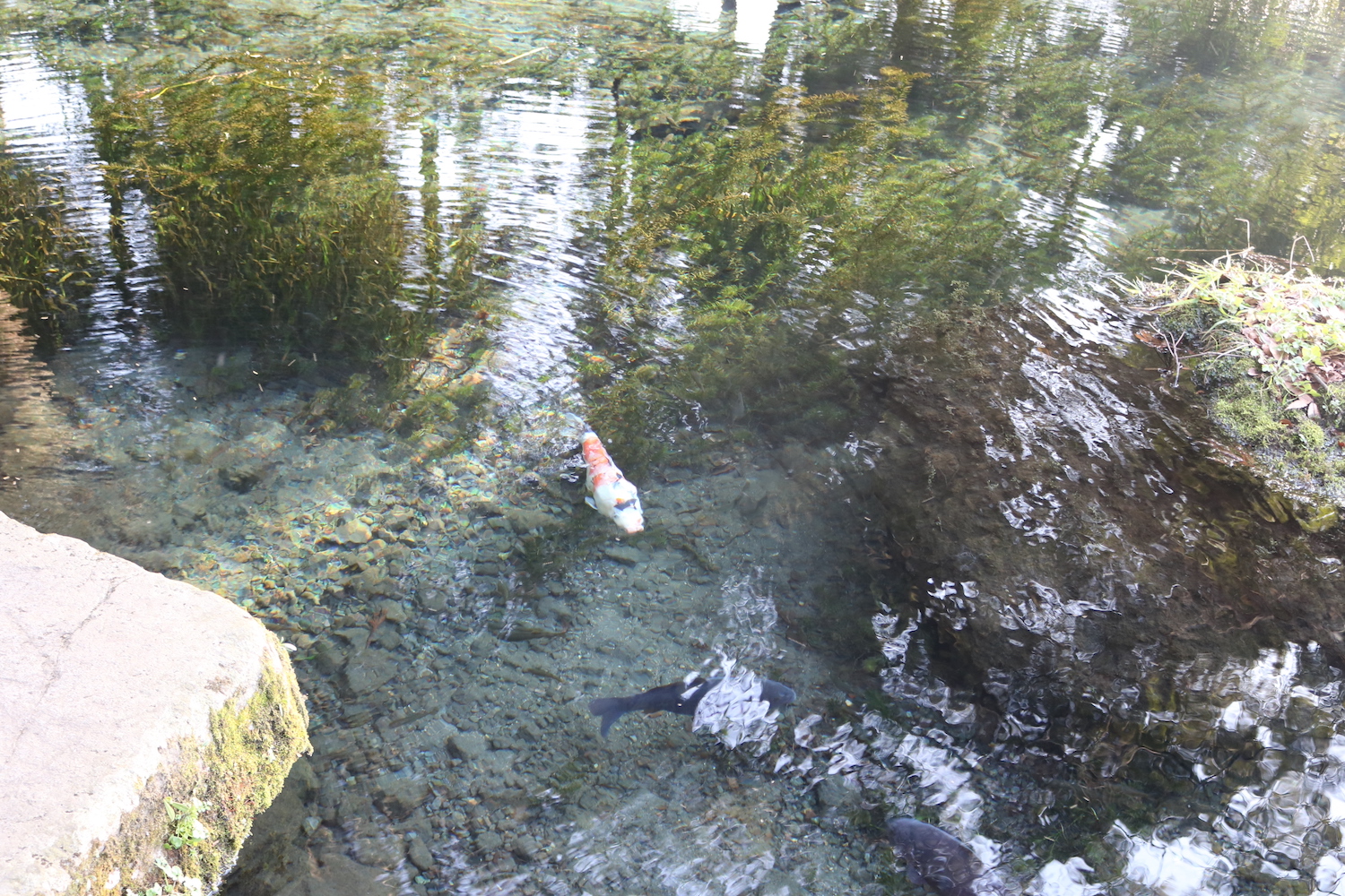 明神池名水公園