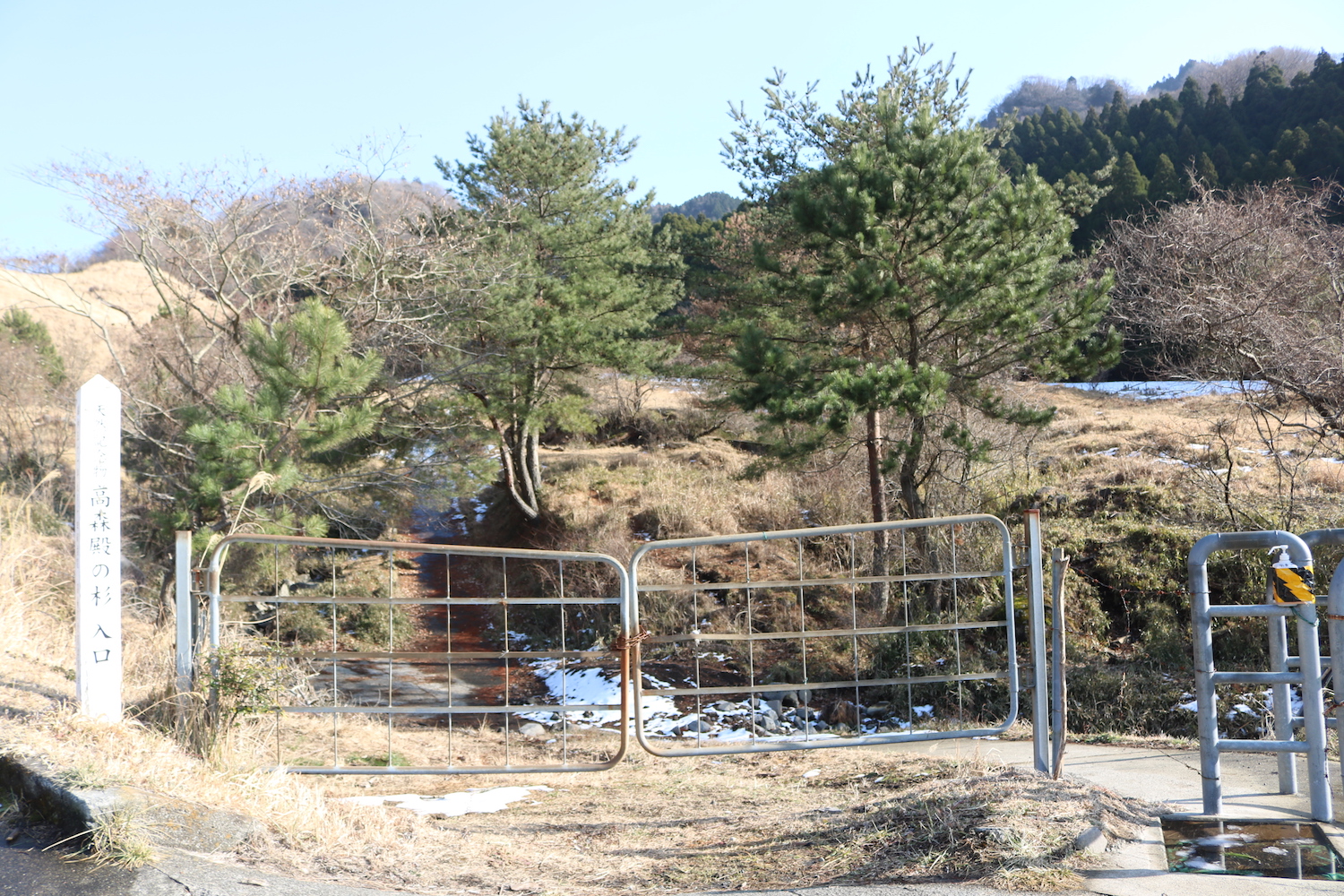 高森殿の杉