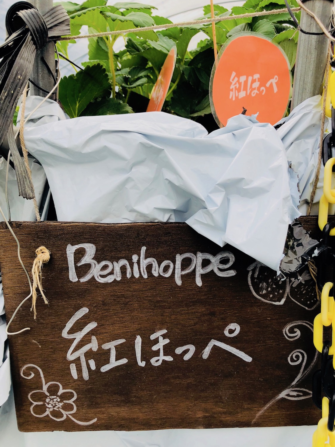 なかはた農園