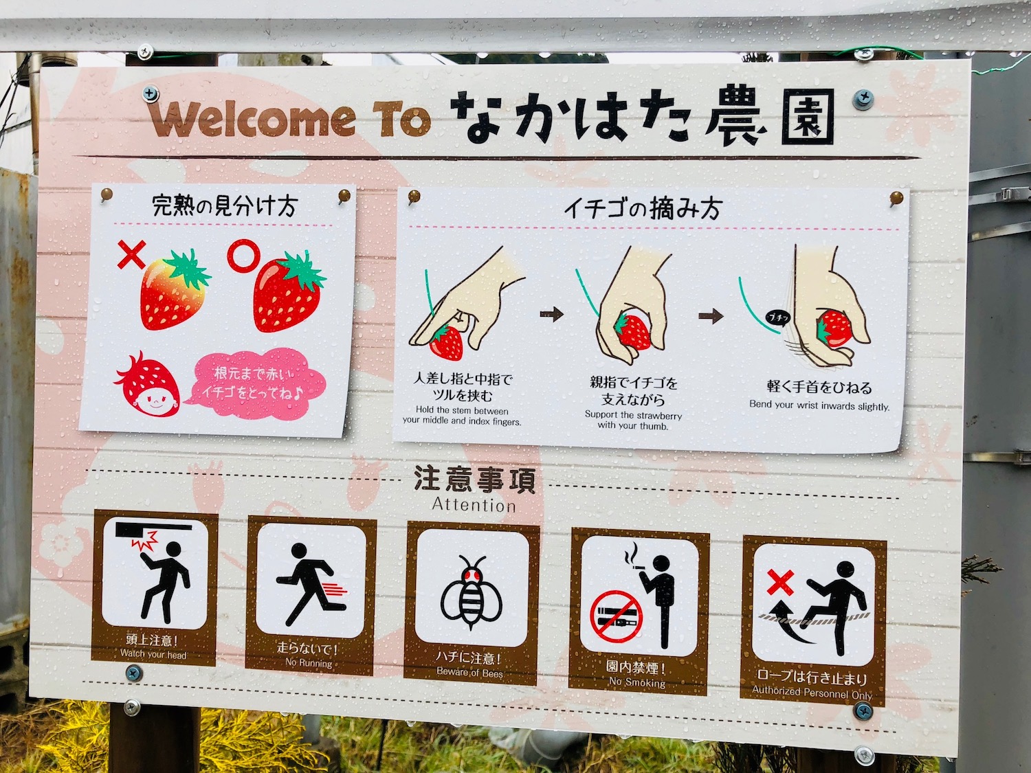 なかはた農園