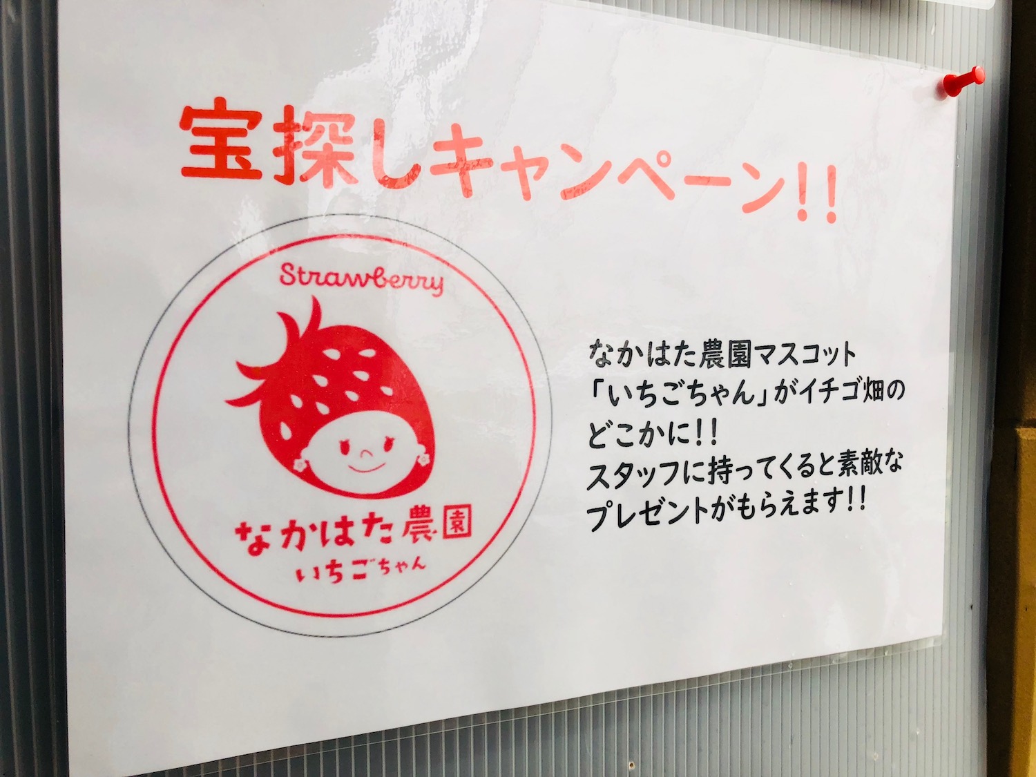 なかはた農園