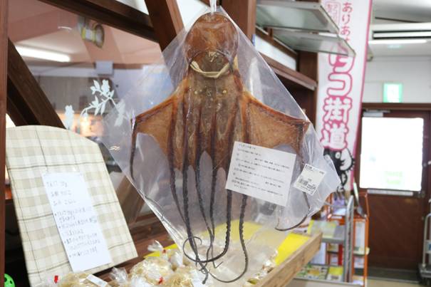 道の駅 有明
