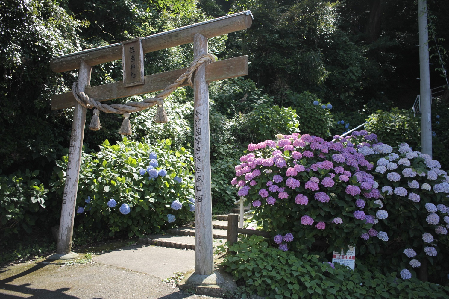 住吉自然公園