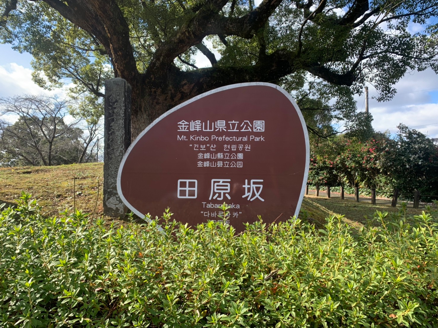 tabaruzaka