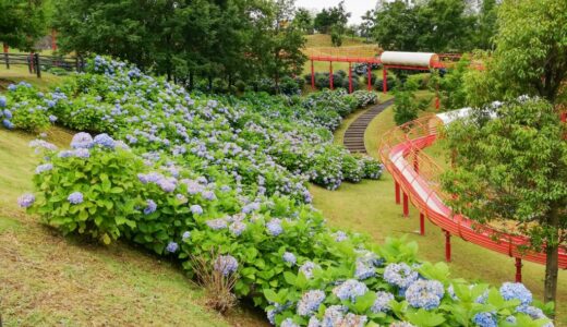 竜北公園（公園・お花見）八代郡氷川町