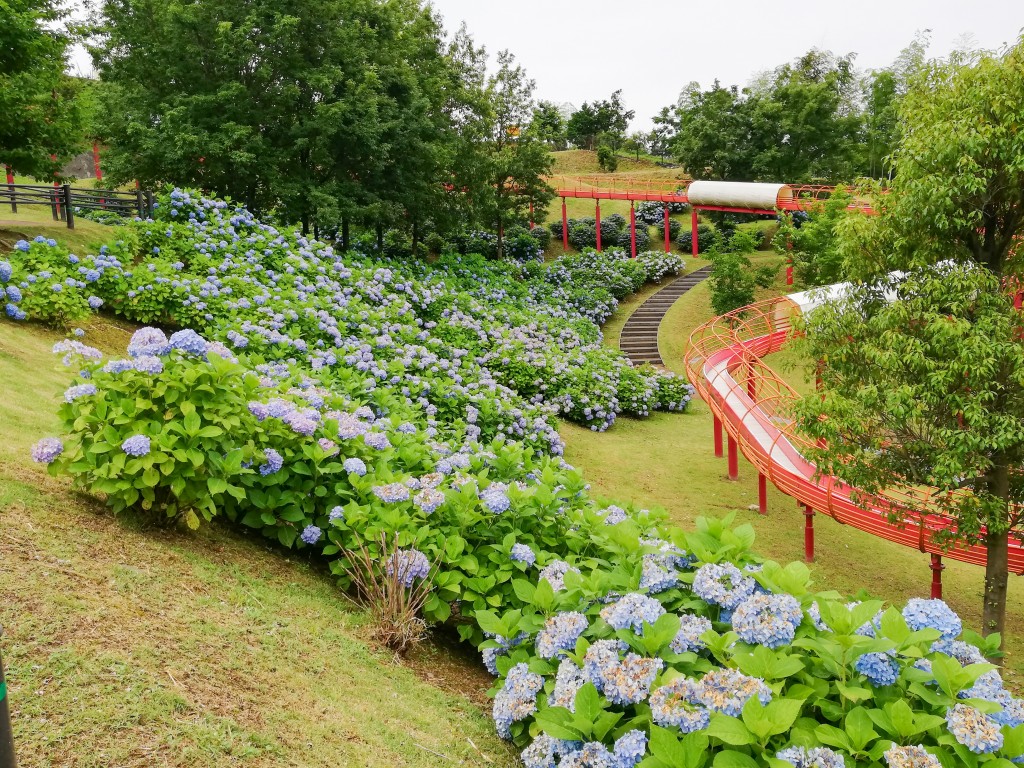 竜北公園