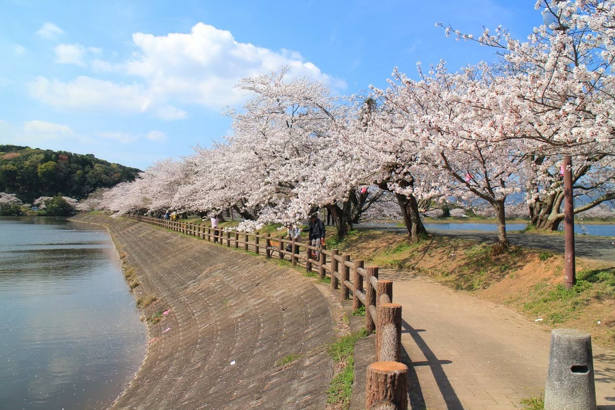 立岡自然公園